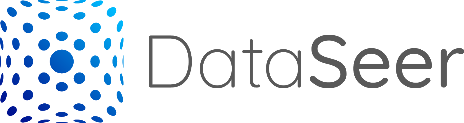 DataSeer Logo