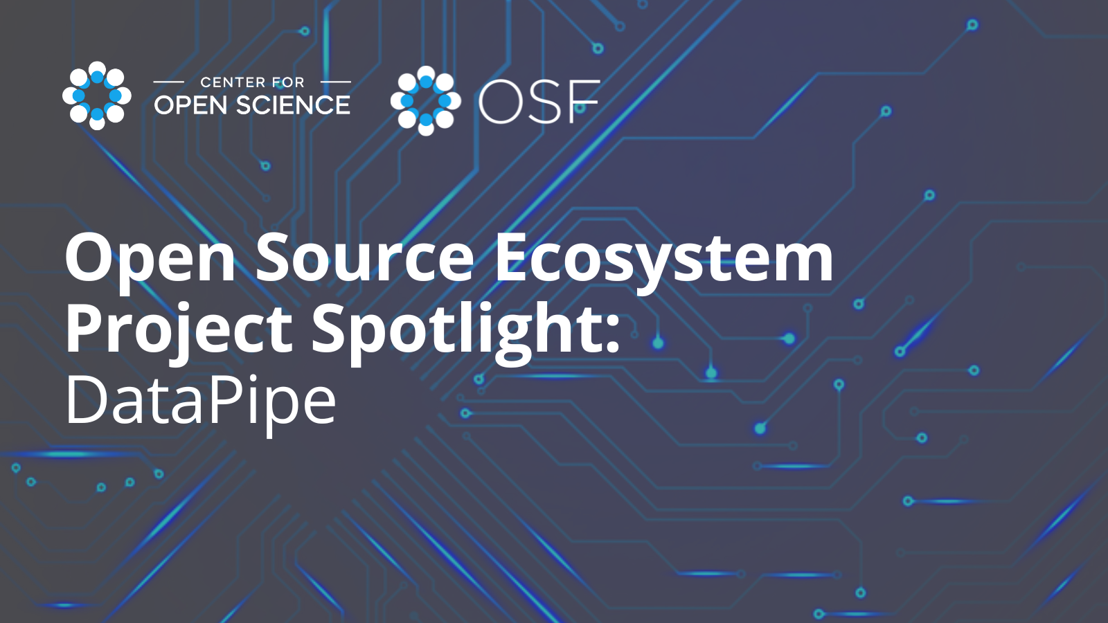 Open Source Ecosystem Spotlight: DataPipe