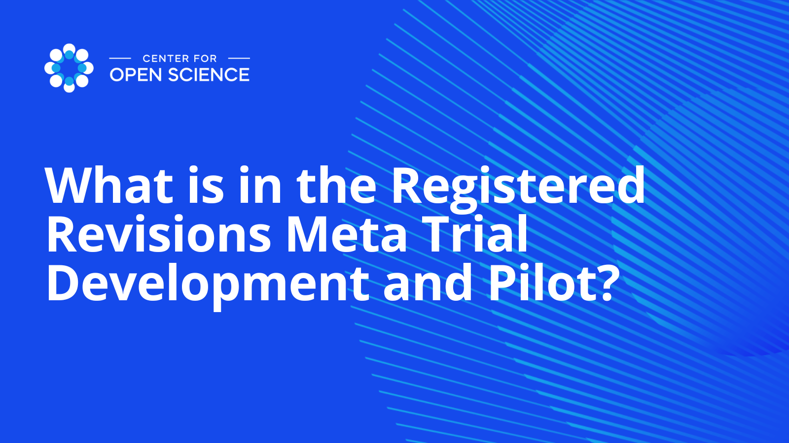 What is in the Registered Revisions Meta Trial Development and Pilot?