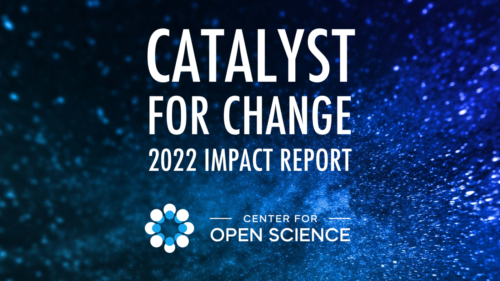 Text: Catalyst for Change: 2022 Impact Report